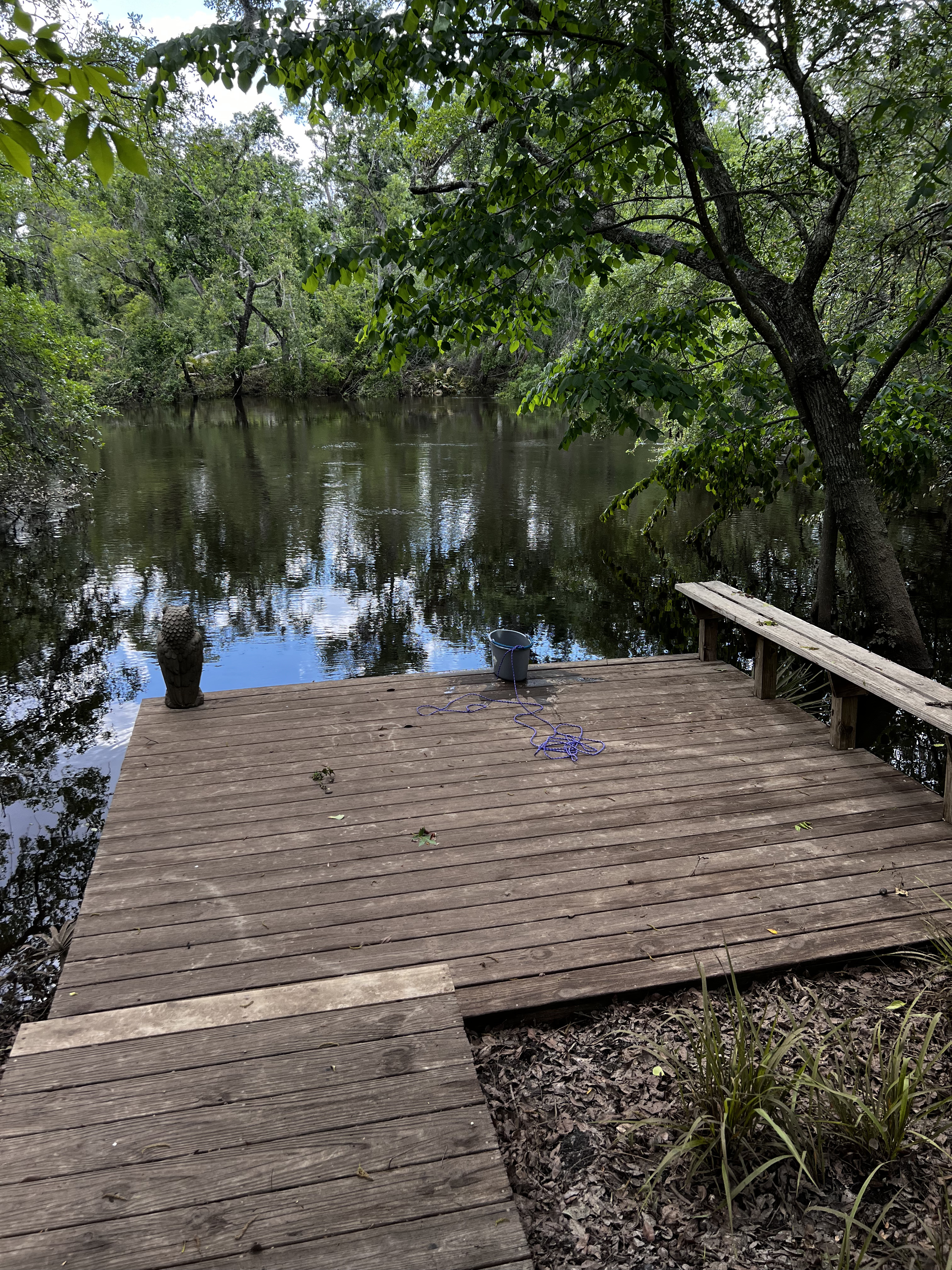 Holly Point, Withlacoochee River @ NE Withla Bluffs Way 2024-04-25