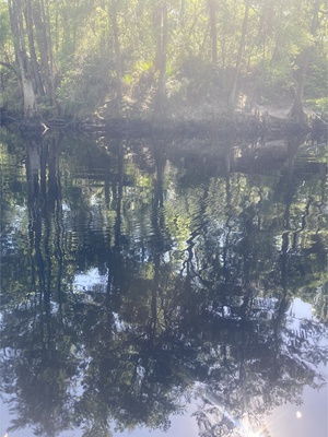 [River, O'Leno Dock, Santa Fe River @ O'Leno Park Road 2024-04-24]