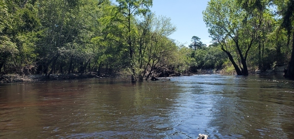 We went around by the right bank (on the left in this picture), 11:52:38, 30.7845821, -83.0414641