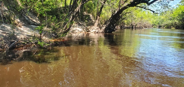 Martin Branch With swing ropes, 13:06:13, 30.7621076, -83.0436496