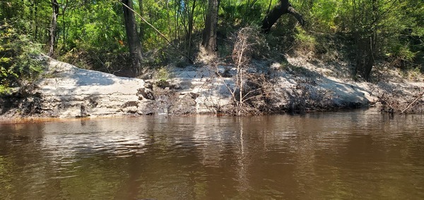 Left bank field runoff, 13:44:11, 30.7406144, -83.0364856