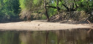 [Sandy point stump sculpture, 10:12:39, 30.8059789, -83.0194172]