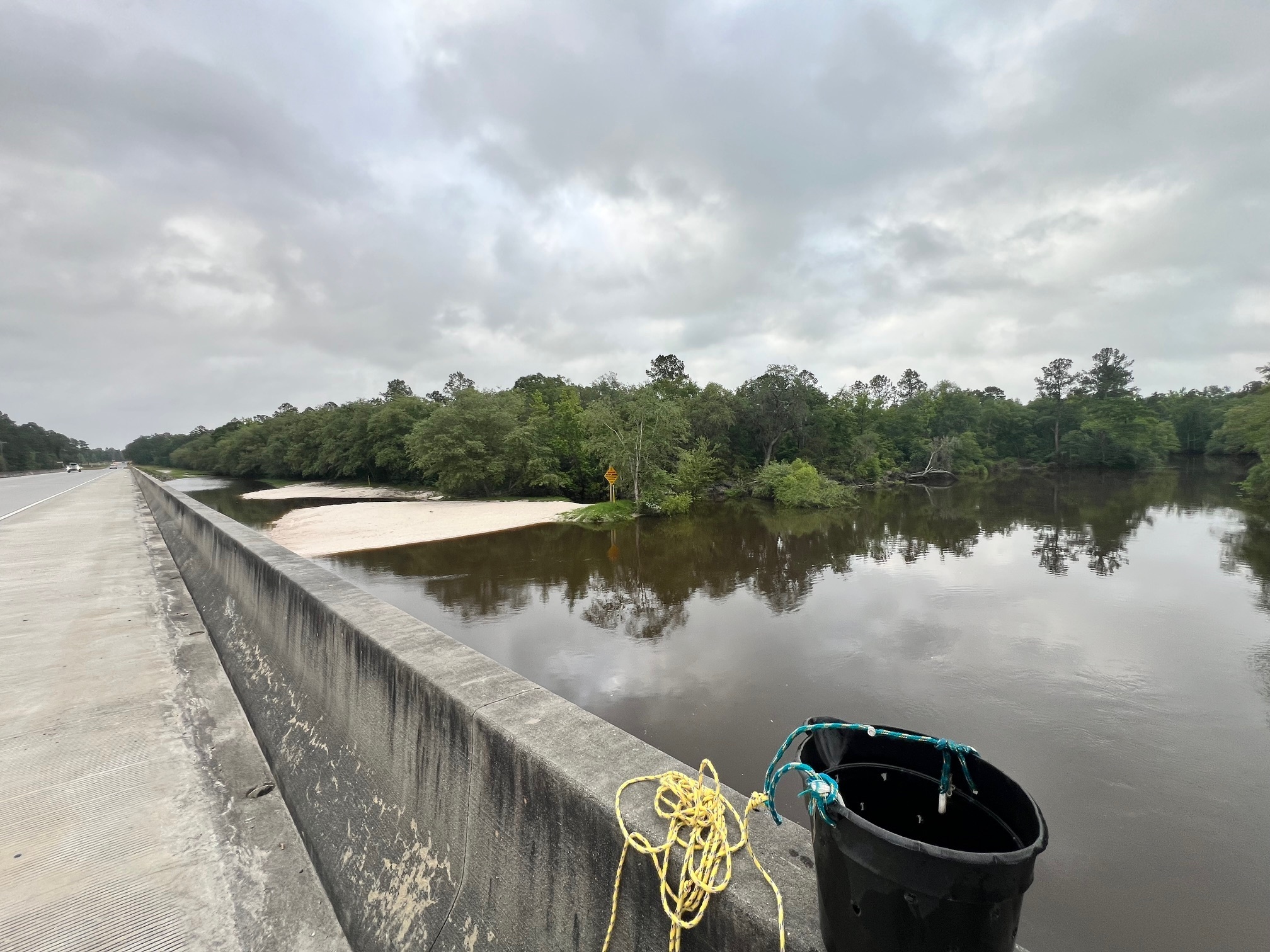 Left bank, Lakeland Boat Ramp, Alapaha River @ GA 122 2024-05-15