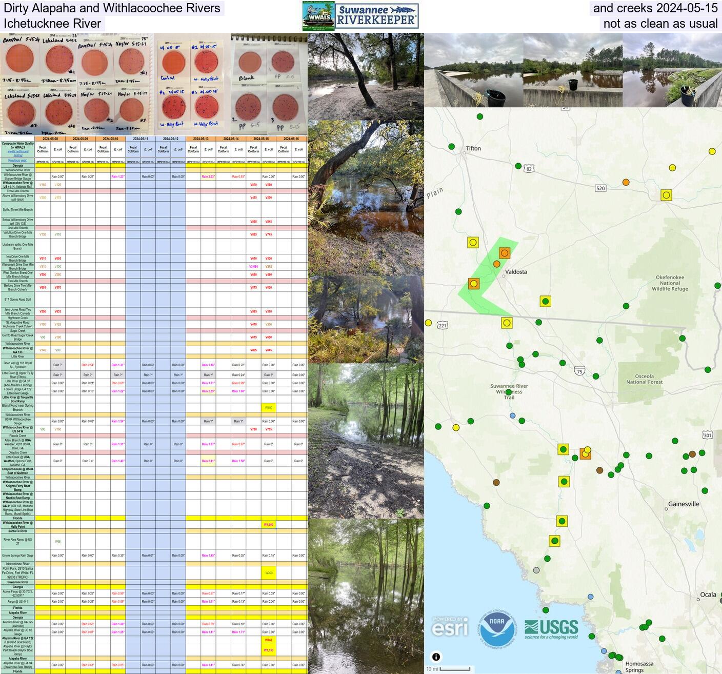 Dirty Alapaha and Withlacoochee Rivers and creeks 2024-05-15; 