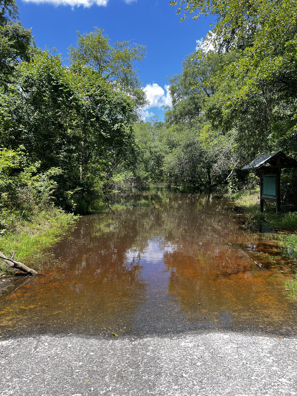 [Allen Ramp, Withlacoochee River @ 2726 SW 64th Way Jasper, FL 32052 2024-05-22]