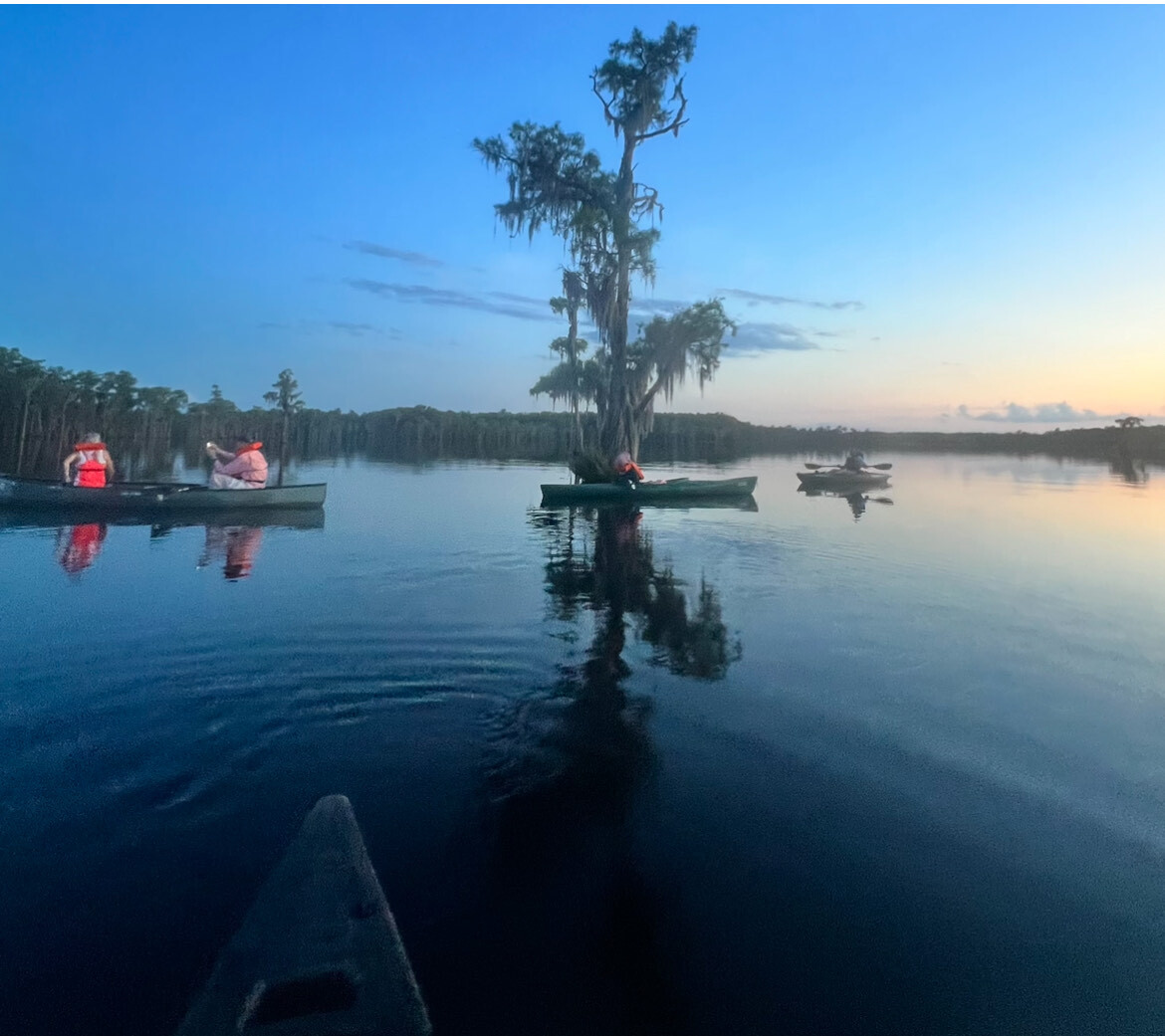 Boats on the water