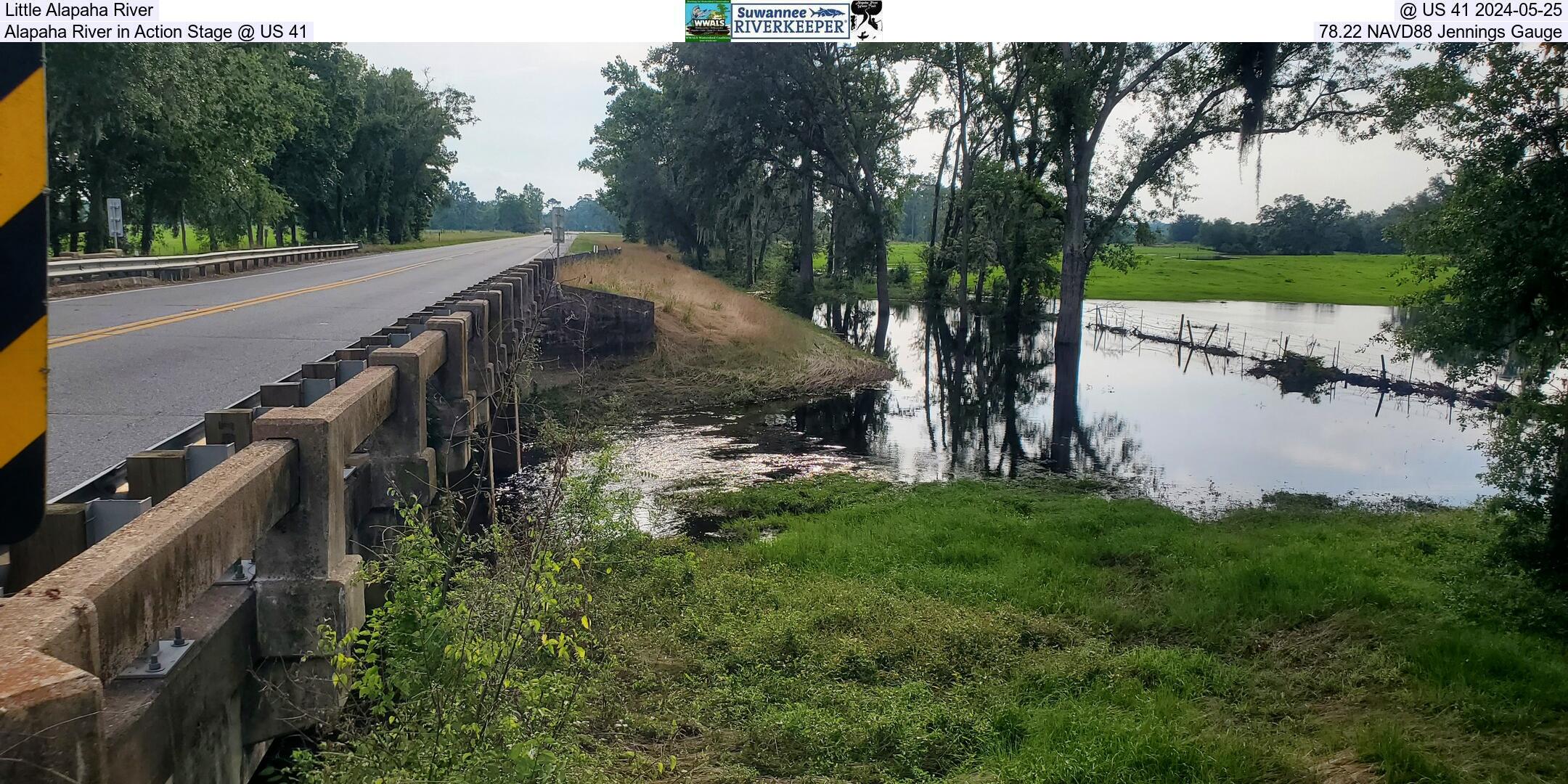 Little Alapaha River, @ US 41 2024-05-25, Alapaha River in Action Stage @ US 41, 78.22 NAVD88 Jennings Gauge