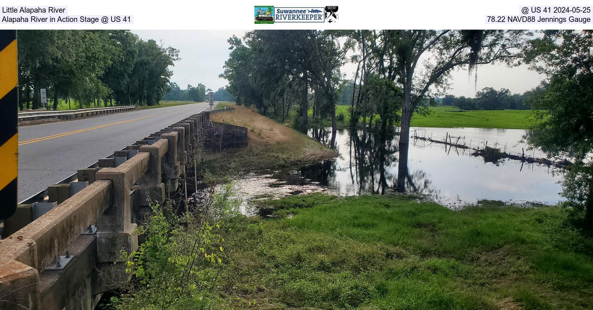 Little Alapaha River, @ US 41 2024-05-25, Alapaha River in Action Stage @ US 41, 78.22 NAVD88 Jennings Gauge