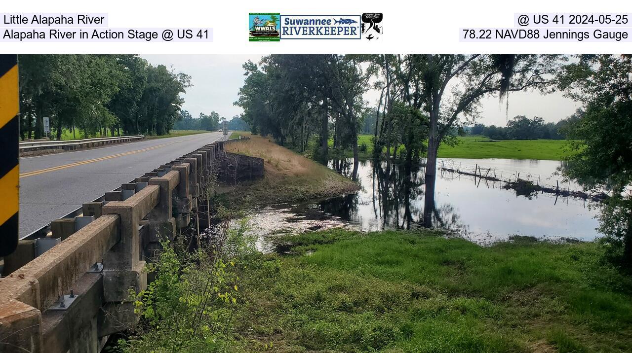 Little Alapaha River, @ US 41 2024-05-25, Alapaha River in Action Stage @ US 41, 78.22 NAVD88 Jennings Gauge