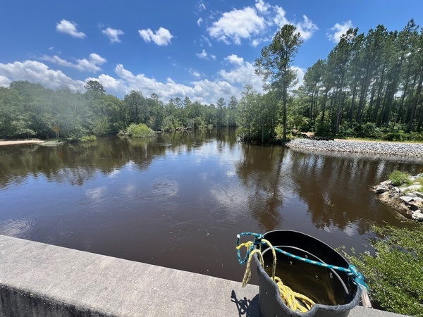 River, Lakeland Boat Ramp, Alapaha River @ GA 122 2024-06-05