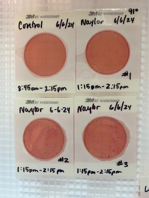 [Plates, Naylor Park Beach 2024-06-06]