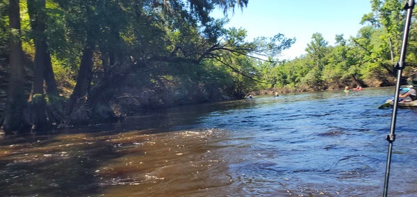 Left around Twin Rivers State Forest Road Shoals, 11:01:17, 30.5814395, -83.2625659