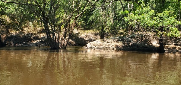 [Creek, left bank, Hardee Camp Road, 12:03:00, 30.5542254, -83.2605766]