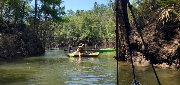 Bluegreen Hardee Spring water meets Withlacoochee tannin water, 12:20:23, 30.5445853, -83.2497846