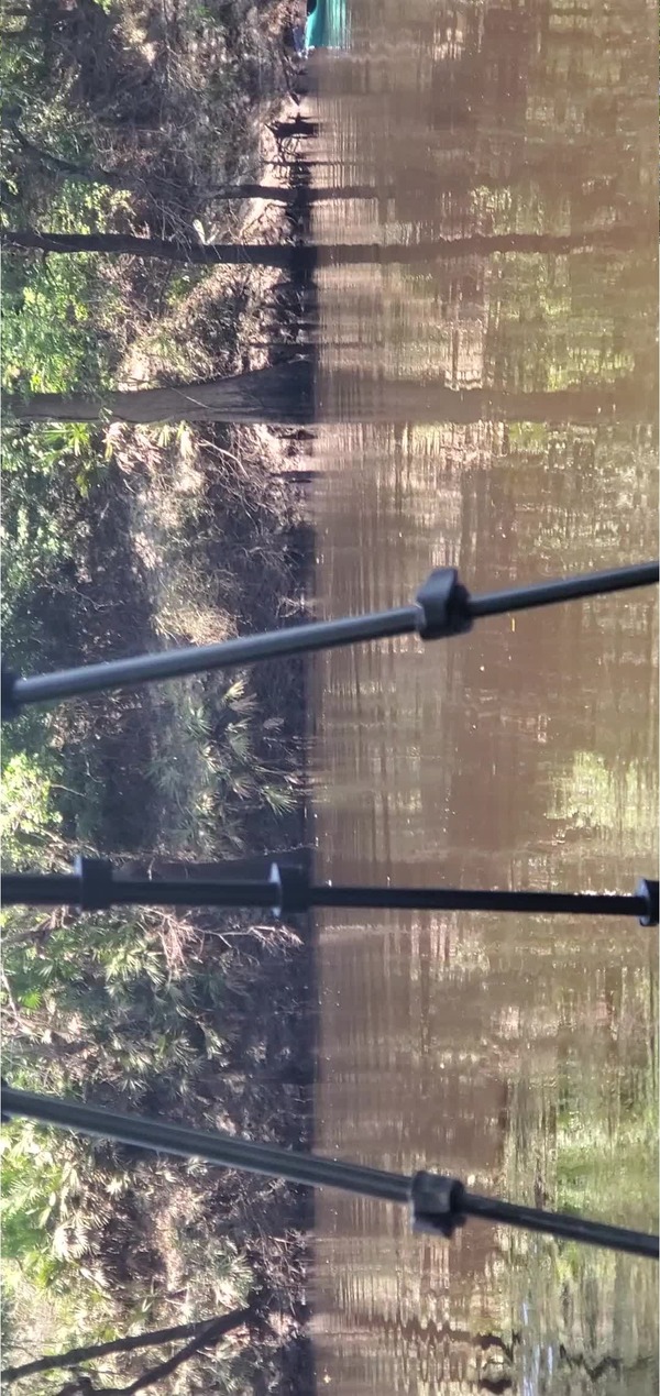 Movie: Back into the Withlacoochee River from the Chitty Bend East Distributary, 30.51769, -83.23865 (38M)