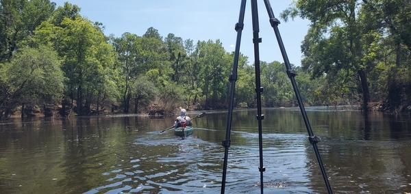 [Waterlogged tree, 14:46:13, 30.4939340, -83.2404630]