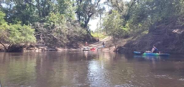 [Movie: Madison Boat Ramp, about 15 miles from Sullivan Landing, 15:54:12, 30.4660804, -83.2239129 (22M)]