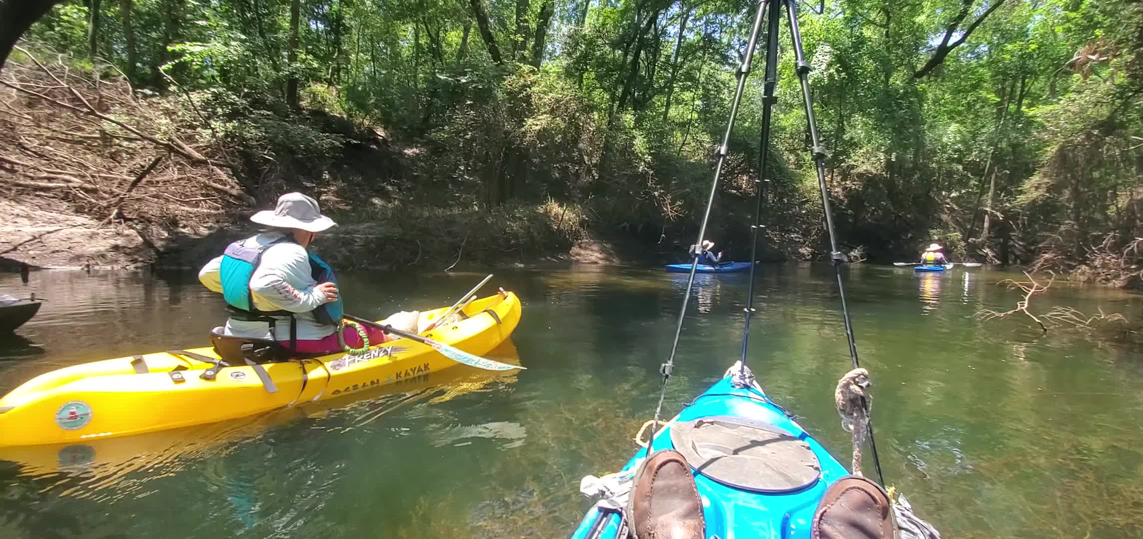 Movie: Chitty Bend East Swallet spring run, 30.5173291, -83.2383813 (19M)