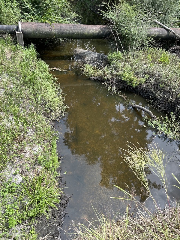 [Knights Ferry Boat Ramp, Knights Creek @ Howell Road 2024-06-11]