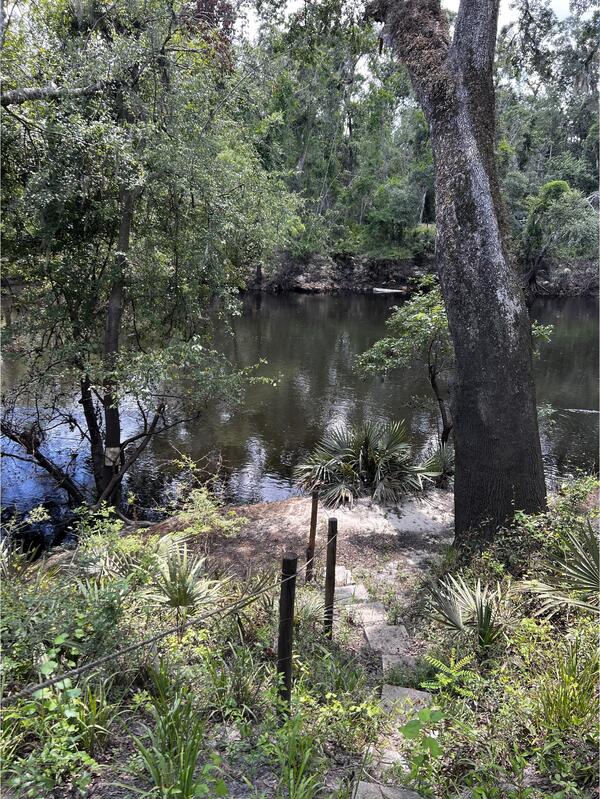 [Holly Point, Withlacoochee River @ NE Withla Bluffs Way 2024-06-13]