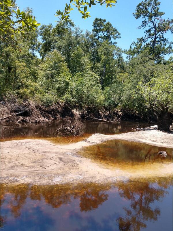 Langdale Park Boat Ramp other, Withlacoochee River @ North Valdosta Road 2024-06-13