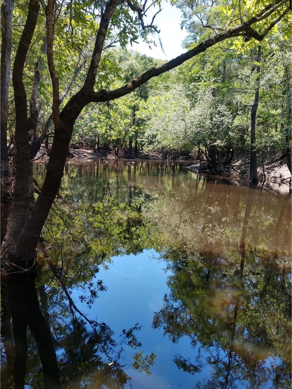 Langdale Park Boat Ramp other, Withlacoochee River @ North Valdosta Road 2024-06-13