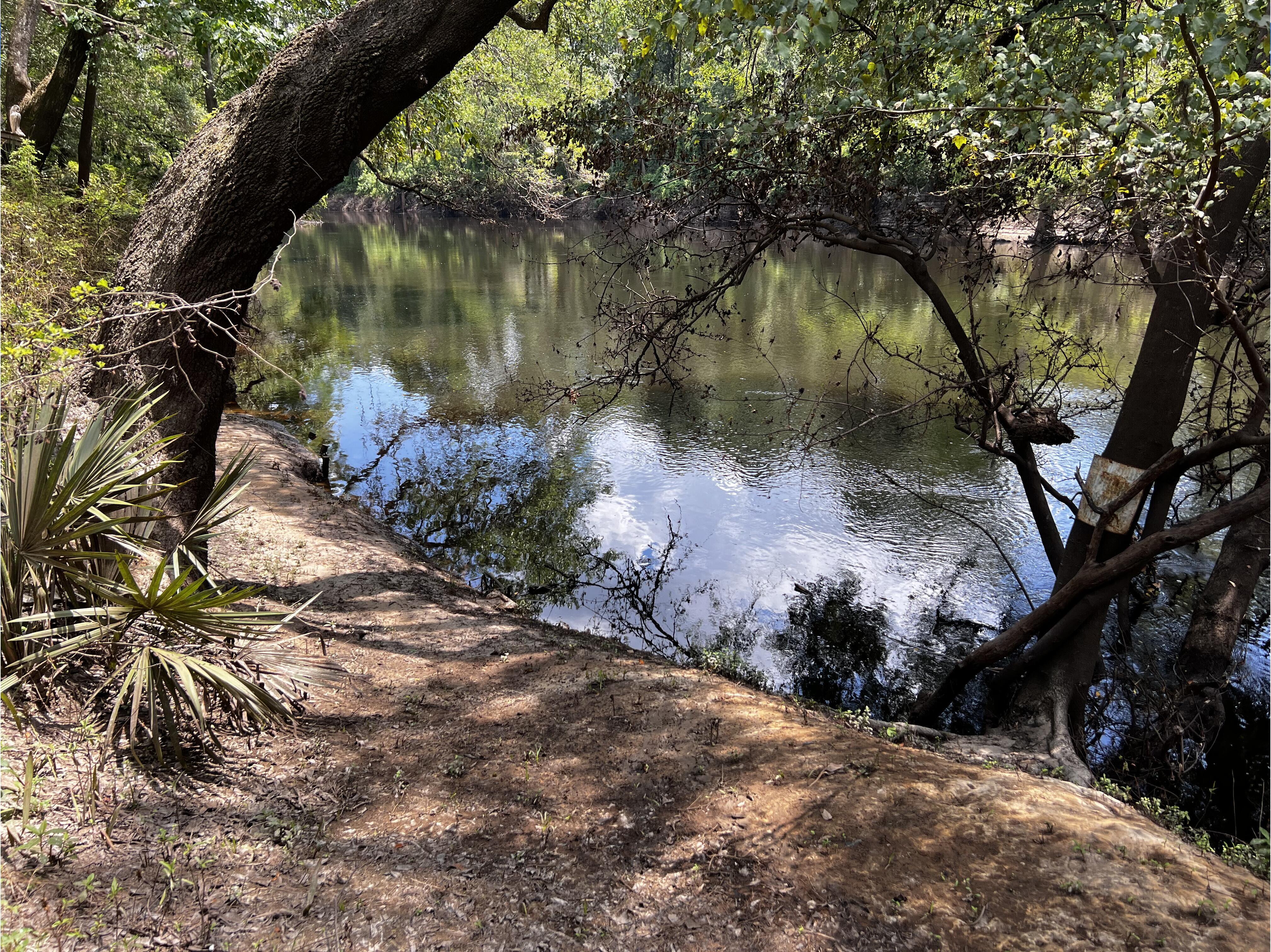 Holly Point other, Withlacoochee River @ NE Withla Bluffs Way 2024-06-13