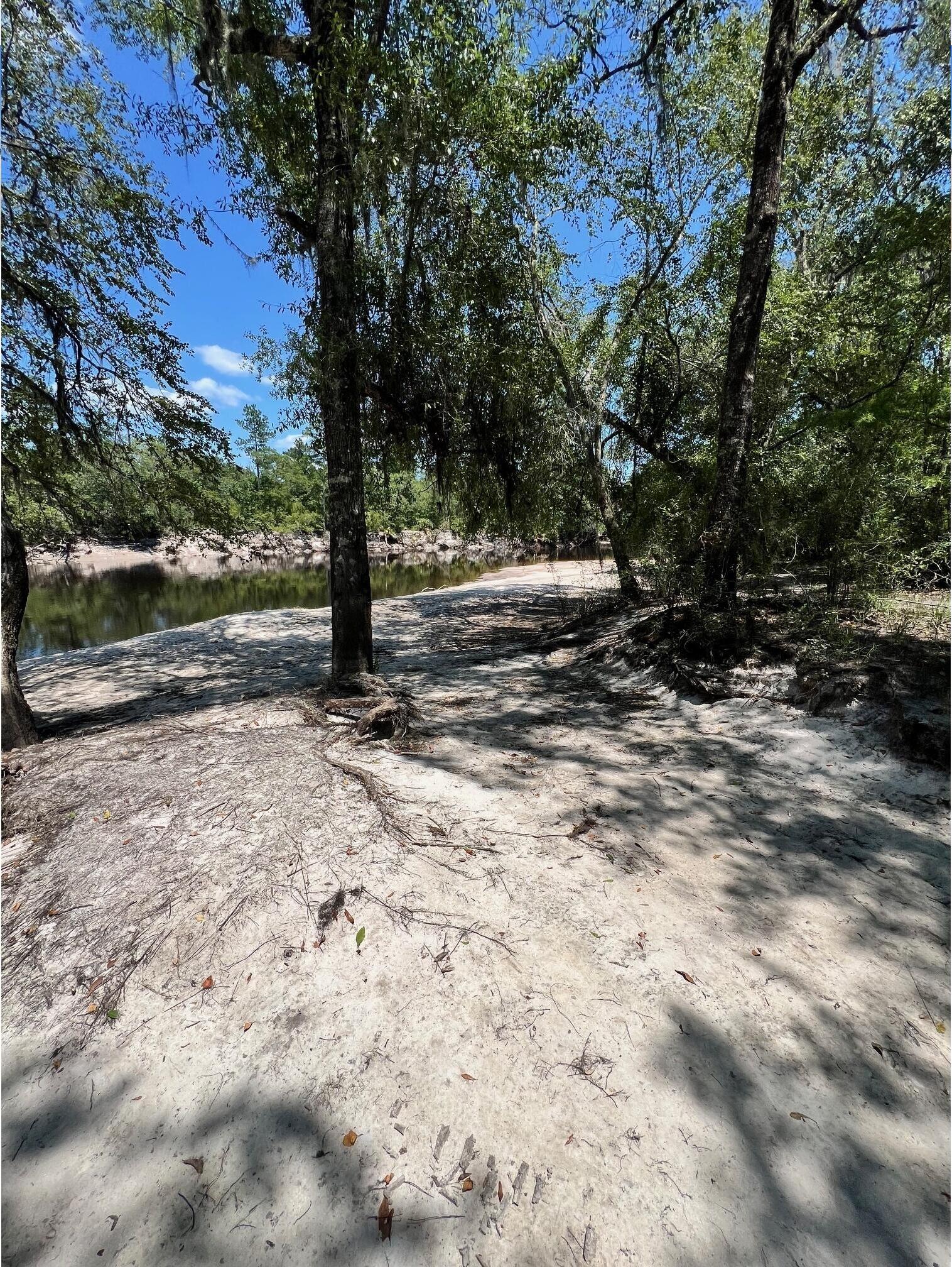 Naylor Park Beach, Alapaha River @ US 84 2024-06-13