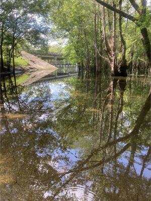 [William Guy Lemmons Memorial Park Ramp other, Santa Fe River @ US 129 2024-06-13]