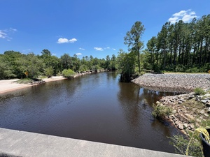 [River, Lakeland Boat Ramp, Alapaha River @ GA 122 2024-06-13]