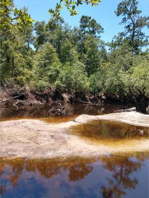 [Langdale Park Boat Ramp other, Withlacoochee River @ North Valdosta Road 2024-06-13]