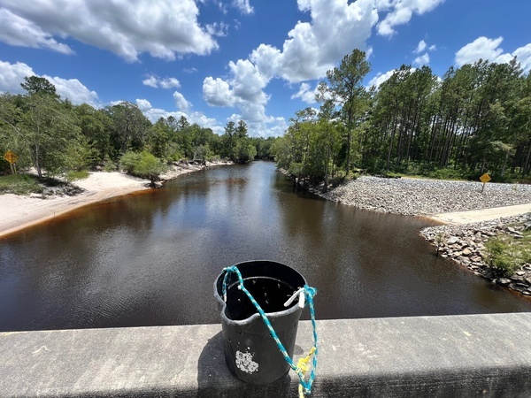 Downstream, Lakeland Boat Ramp, Alapaha River @ GA 122 2024-06-20