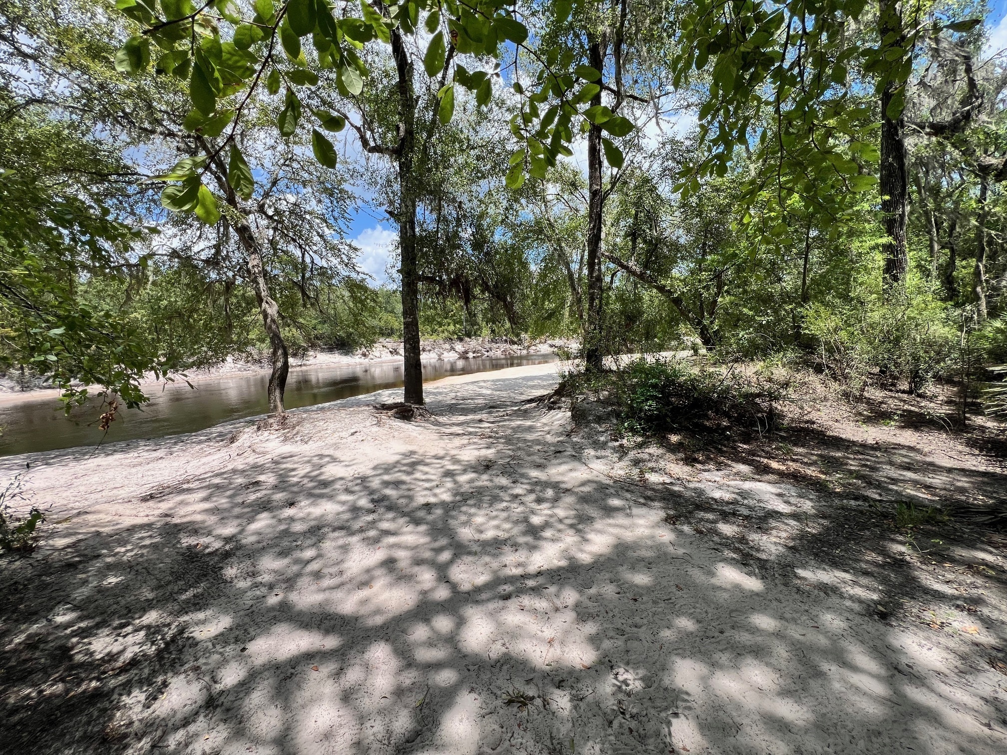 Naylor Park Beach, Alapaha River @ US 84 2024-06-20