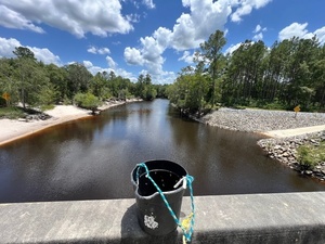 [Downstream, Lakeland Boat Ramp, Alapaha River @ GA 122 2024-06-20]