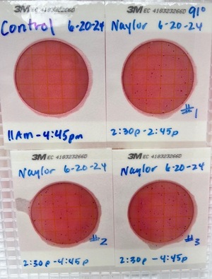 [Plates, Naylor Park Beach, Alapaha River @ US 84 2024-06-20]