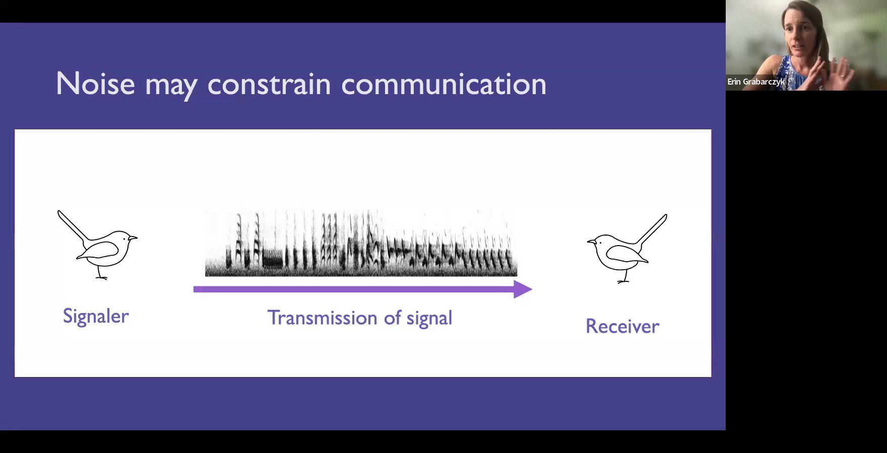 Noise may constrain communication