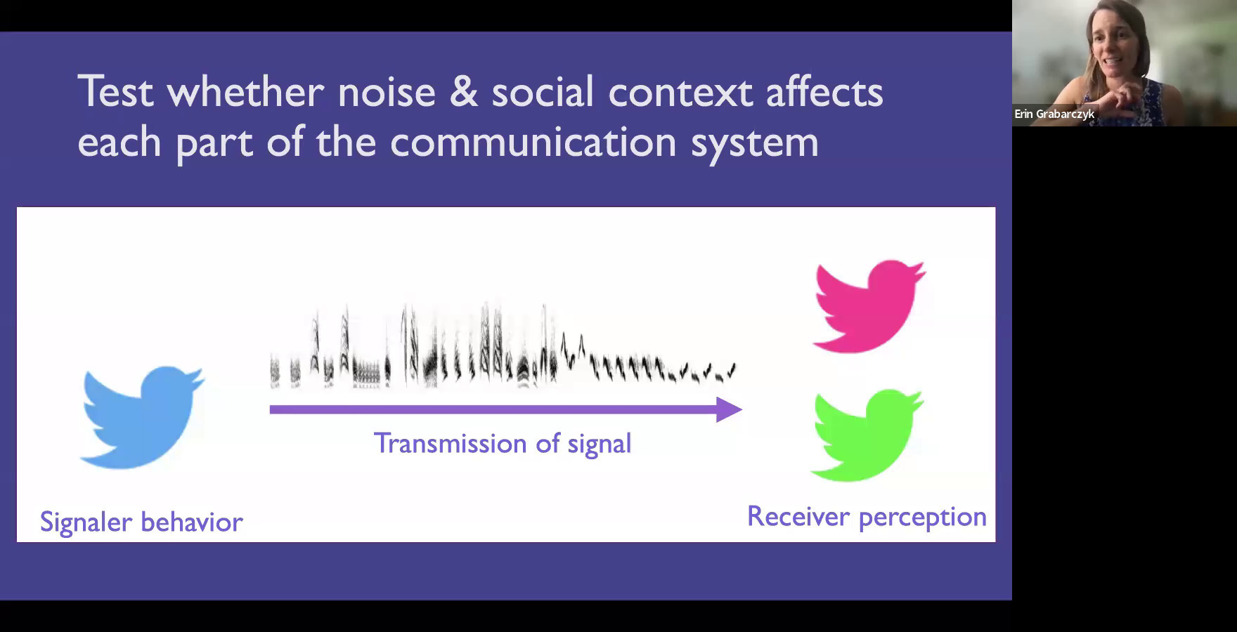 Test whether noise & social context affects each part of the communication system