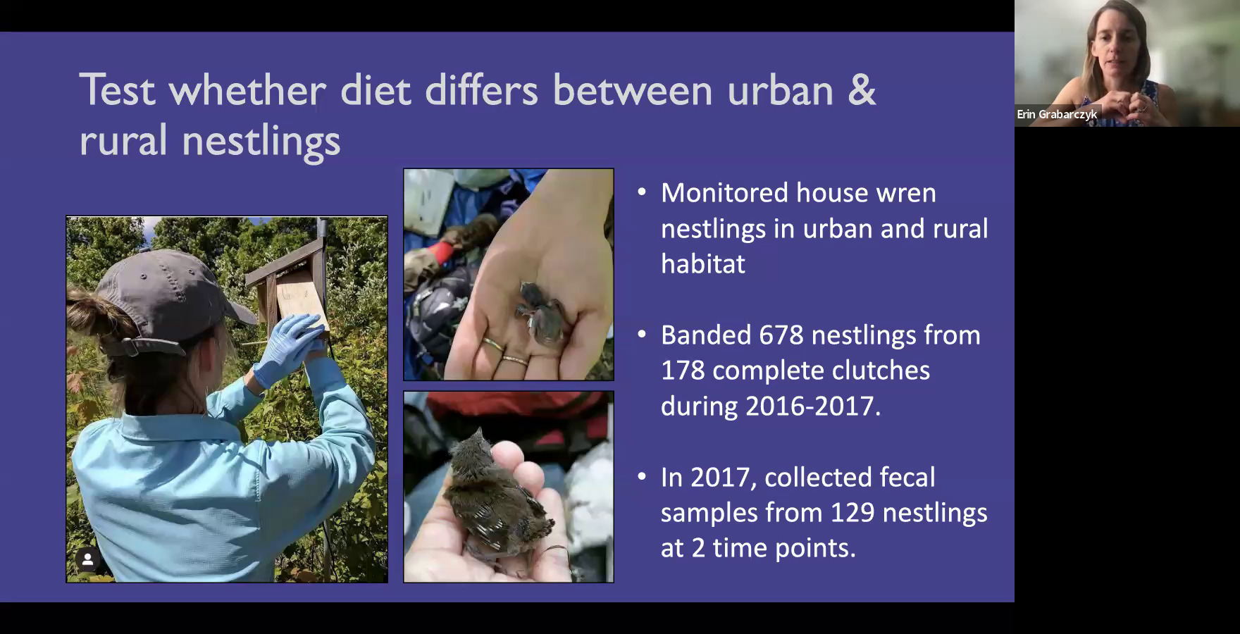 Test whether diet differs between urban & rural nestlings