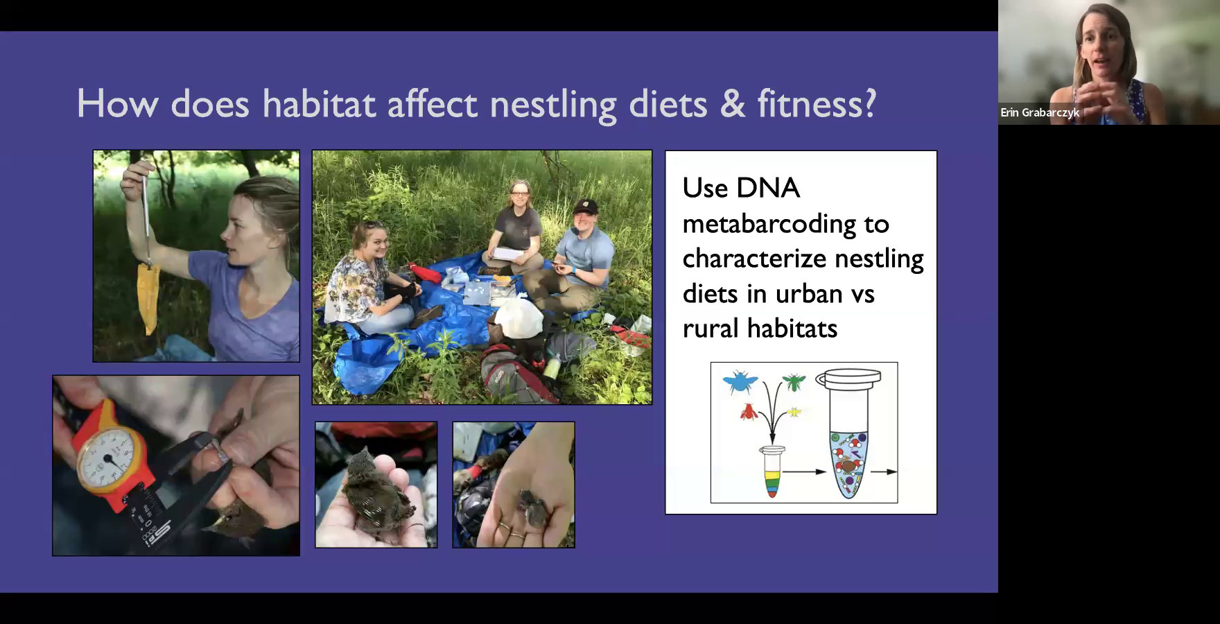 How does habitat affect nestling diets & fitness? Use DNA