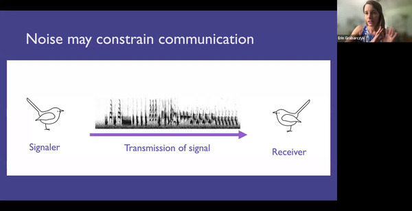 Noise may constrain communication