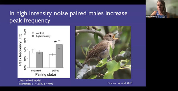 In high intensity noise paired males increase peak frequency