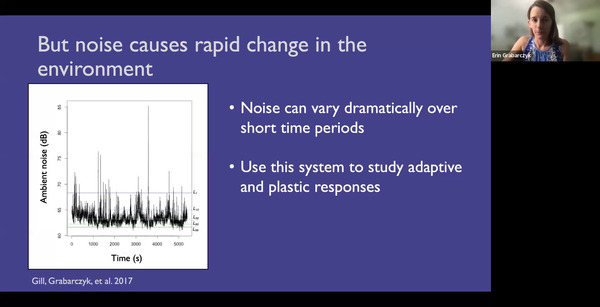 But noise causes rapid change in the environment