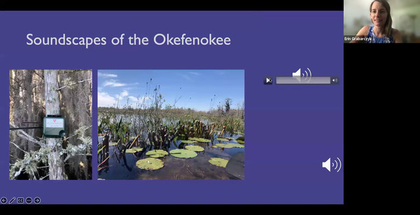 Soundscapes of the Okefenokee