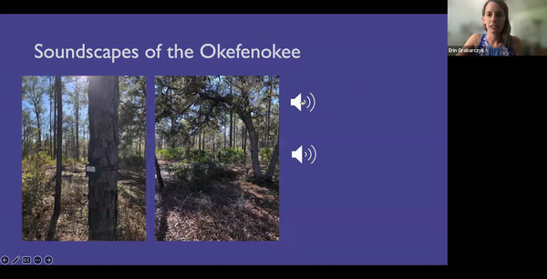 Soundscapes of the Okefenokee (2)