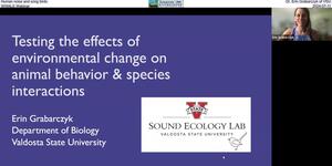 [Human noise and song birds, Dr. Erin Grabarczyk of VSU, WWALS Webinar, 2024-07-11]