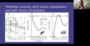 [Nestlings consume early season Lepidoptera and later season Orthoptera]