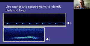 [Use sounds and spectrograms to identify birds and frogs]