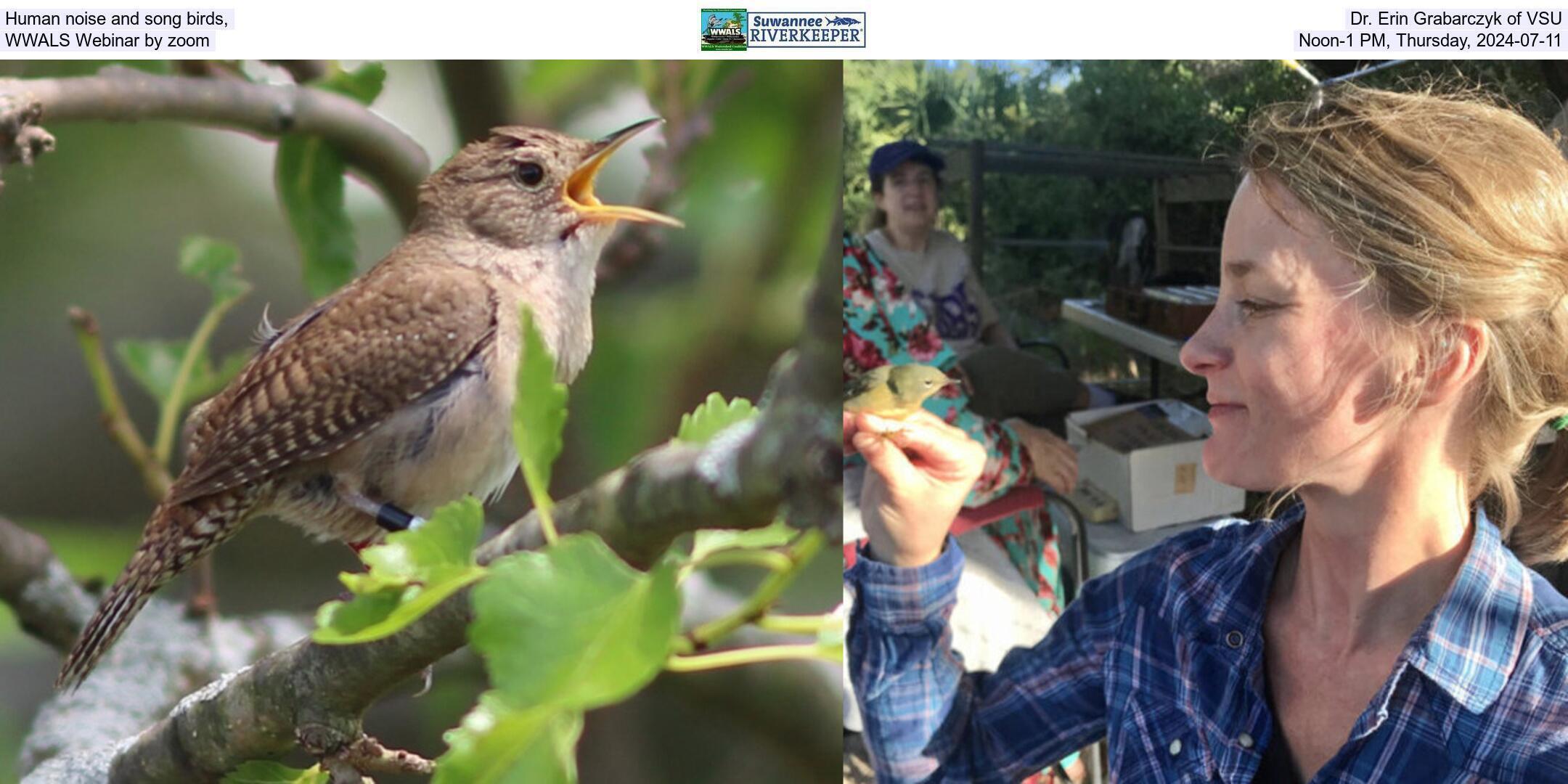 Human noise and song birds, Dr. Erin Grabarczyk of VSU, WWALS Webinar by zoom, Noon-1 PM, Thursday, 2024-07-11