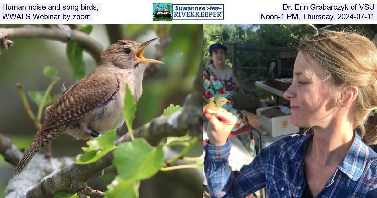 Human noise and song birds, Dr. Erin Grabarczyk of VSU, WWALS Webinar by zoom, Noon-1 PM, Thursday, 2024-07-11