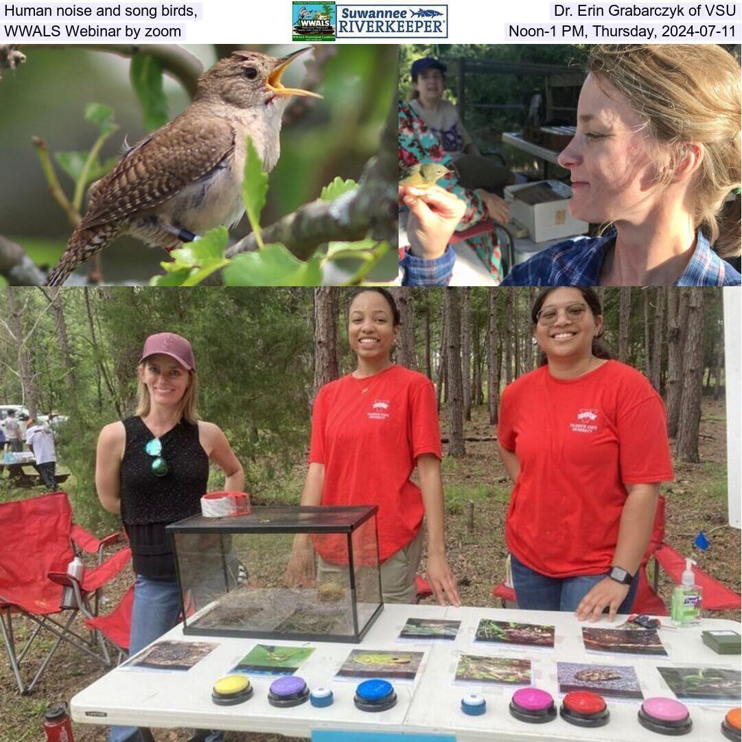 Human noise and song birds, Dr. Erin Grabarczyk of VSU, WWALS Webinar by zoom, Noon-1 PM, Thursday, 2024-07-11